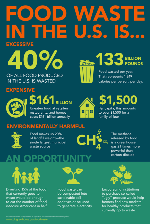food20waste20infographic20shareable